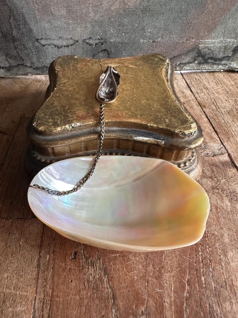 May include: An iridescent, oval-shaped mother-of-pearl dish with a silver-toned spoon attached by a chain. The spoon is connected to a gold-colored, ornate box. The dish sits on a wooden surface.