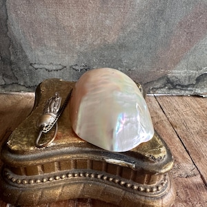 May include: A pearlescent, iridescent shell rests on a gold-colored, ornate box. A small, silver-toned charm hangs from the box. The box has a decorative, beaded edge. The background is a textured, neutral color.
