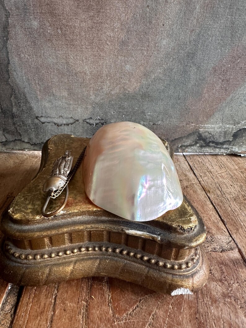 May include: A pearlescent, iridescent shell rests on a gold-colored, ornate box. A small, silver-toned charm hangs from the box. The box has a decorative, beaded edge. The background is a textured, neutral color.