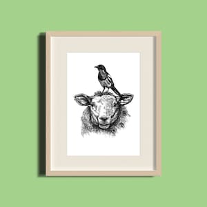 Print schapen en eksters: handgetekende illustratie met pen en inkt