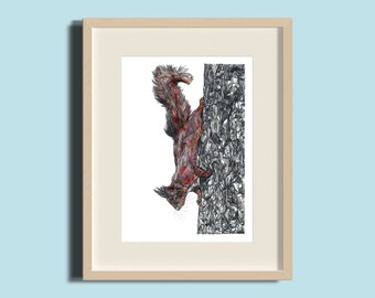 Red Squirrel | Squirrel Illustration | Print | Colour | Hand drawn | Pen and Ink Illustration | Wall Decor