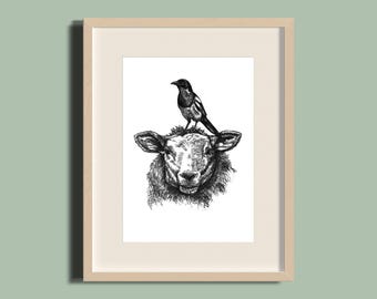 Får- och skatatryck: Handritad illustration med penna och bläck