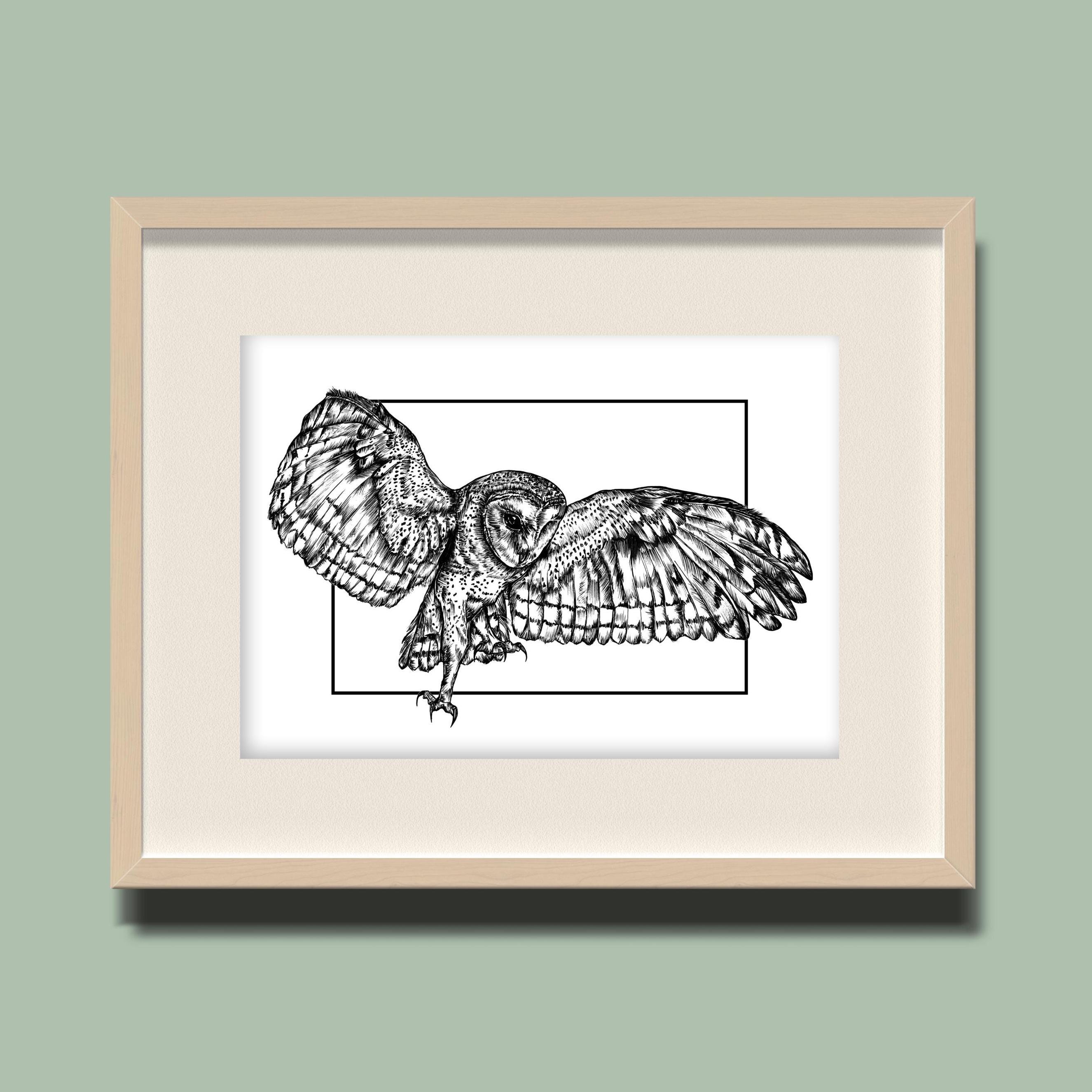 Barn Owl Illustration Print: Hand-Drawn Pen and Ink Wall Art