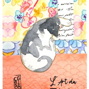 3 Cartes du Maître Chat Zen