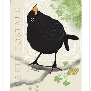 3 Cartes Le Merle et l’Etoile