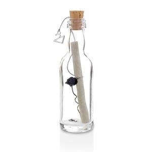 May include: A clear glass bottle with a cork stopper and a rolled up piece of paper inside. A black rose is attached to the paper with a silver wire. The bottle has a silver charm with the number 21 on it.