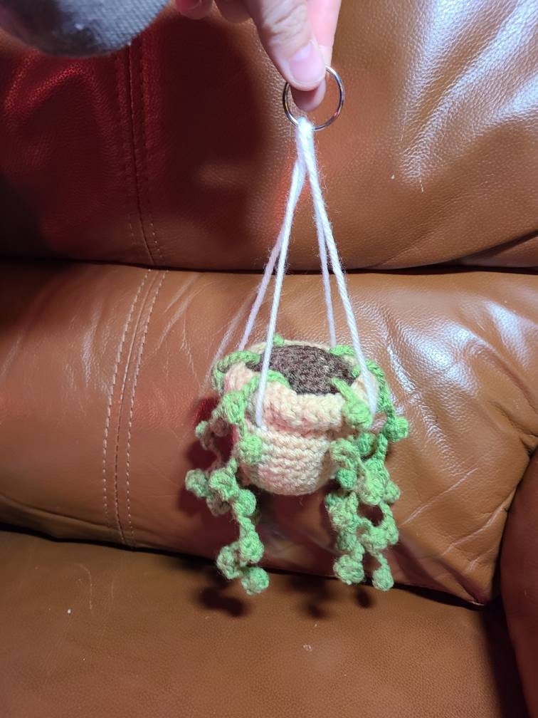 Crochet String of Pearl Plant, Fake String of Pearl's, Crochet