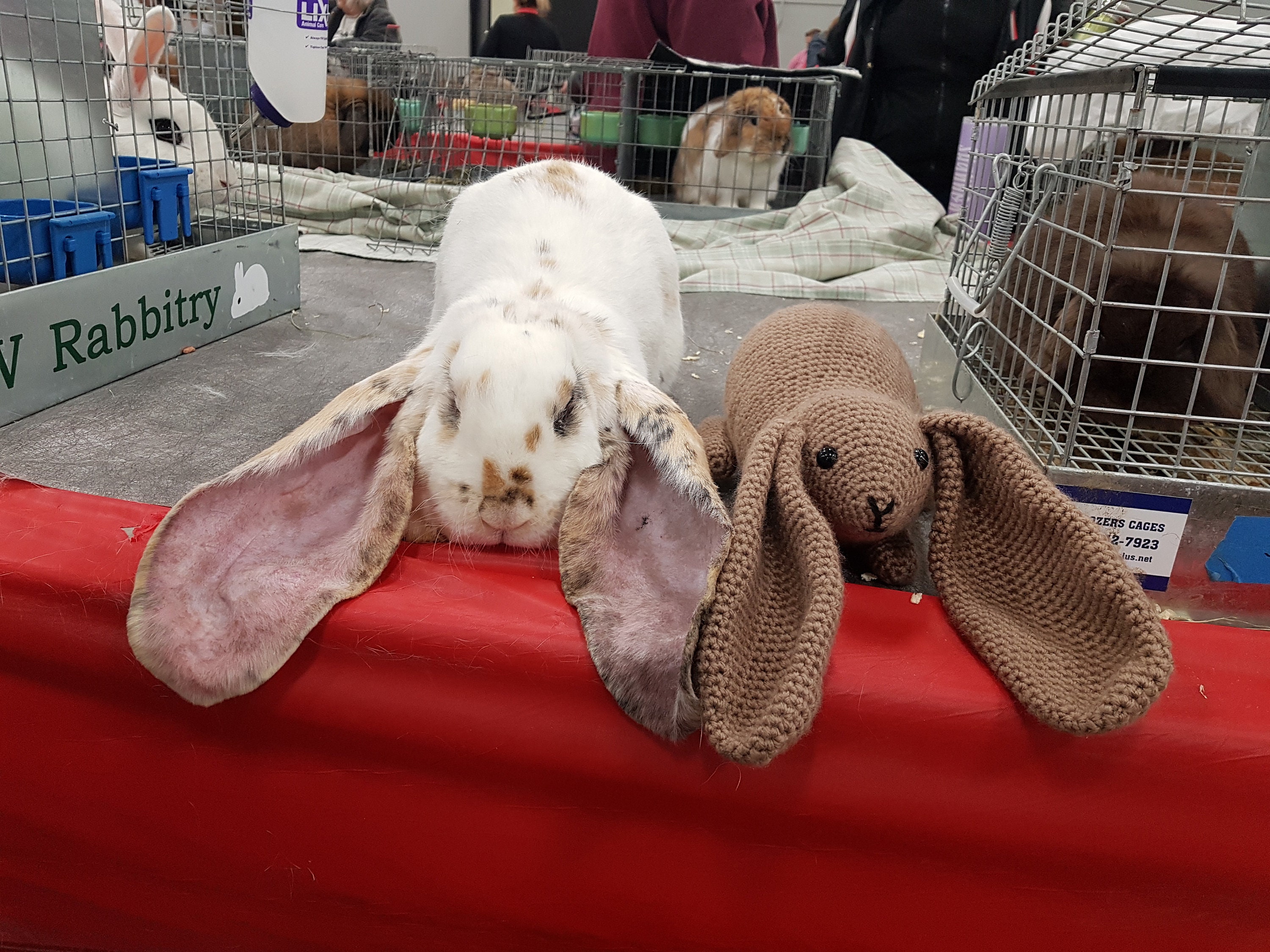 Crochet English Lop Rabbit Stuffed Bunny Toy Plush Rabbit Etsy Canada