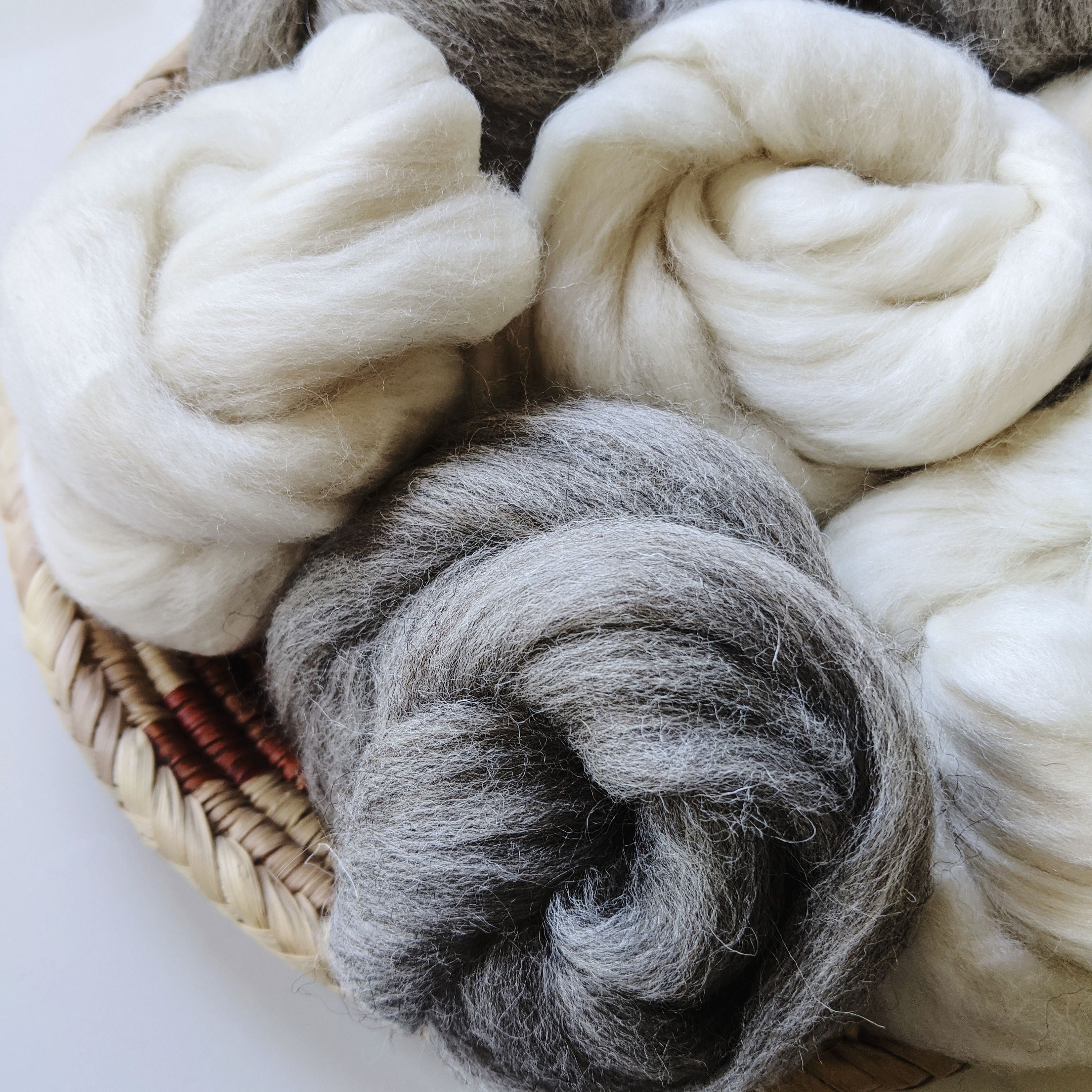 natural grey or creamy white wool roving