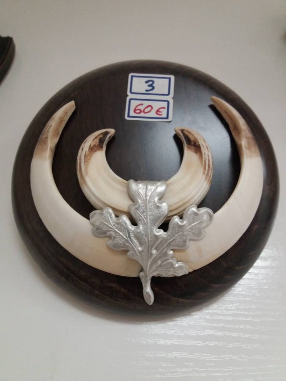Jabali Tusk Earrings