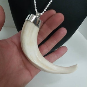 Jabali Tusk Earrings