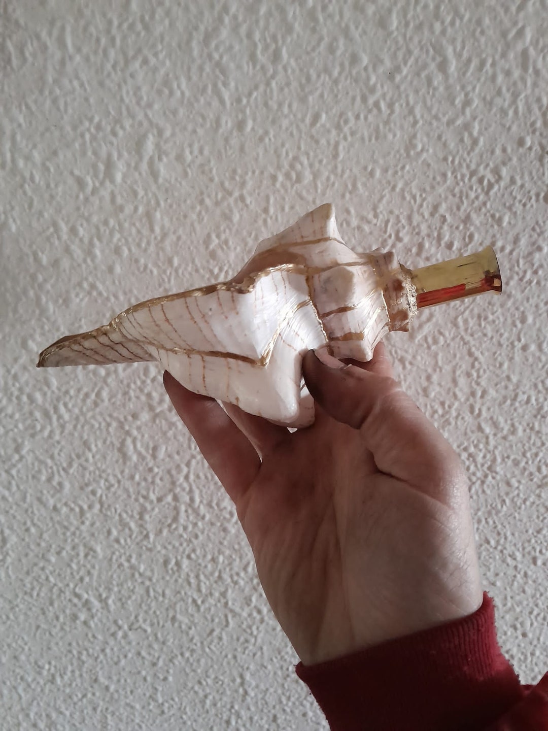 Conch Trumpet Etsy