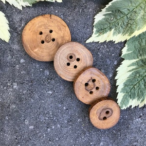 1", 1 inch Tree Branch Wood Buttons (8-pack)