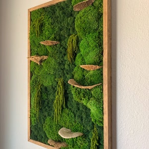 La Naturaleza Kollektion 19x30