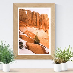 National Park Poster, Digital Download, Bryce Canyon Print, Nature Print, National Park Print,