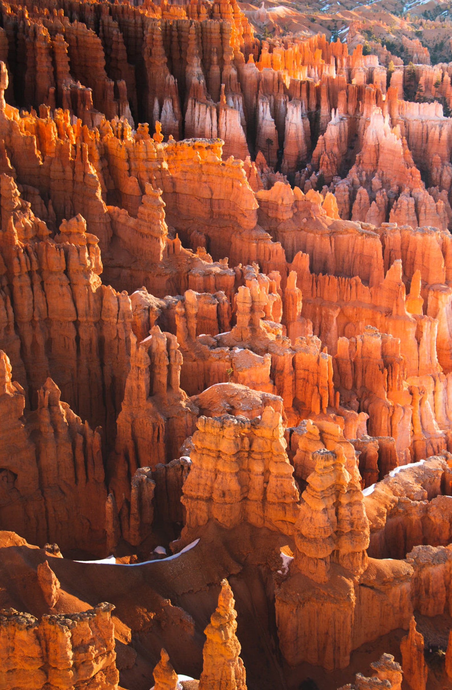 Bryce Canyon National Park Poster Print Etsy