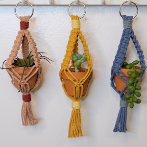 Könnte beinhalten: Drei Makramee-Pflanzenaufhänger in Beige, Gelb und Blau, die jeweils einen kleinen Terrakotta-Topf mit einer Pflanze halten. Die Aufhänger sind an Metallringen aufgehängt, mit einer Quaste am unteren Ende. Die Pflanzen umfassen Sukkulenten und Luftpflanzen.