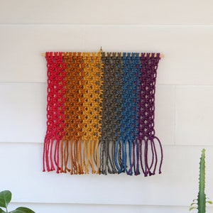 Op de afbeelding: Een kleurrijke macramé wandhanger met een regenboogverloop van kleuren, waaronder rood, oranje, geel, grijs, blauw en paars. Het handgemaakte textielkunstwerk is gemonteerd op een houten deuvel en heeft franjes aan de onderkant.
