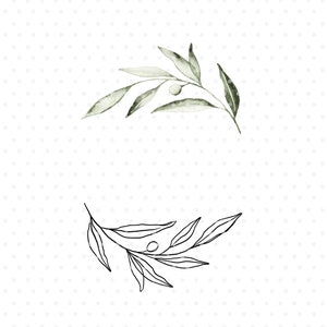 May include: A watercolour illustration of a green olive branch with a single olive, and a black line drawing of a similar olive branch with a single olive. The text "ANGÉLE KAMP" is at the bottom of the image.