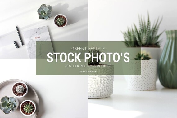 Green Lifestyle Styled Stock Photo Product Mockups Succulent Stock Green Lifestyle Styled Stock Photo Product Mockups Succulent Stock