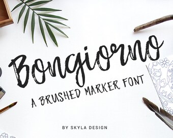 Brush font Bongiorno / marker font / hand lettered font / script / typeface / brushed font / modern calligraphy font