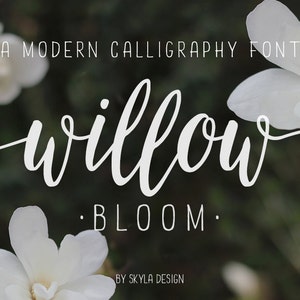 Willow Bloom modern calligraphy font image 1