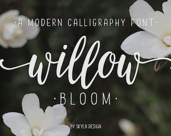 Willow Bloom modern calligraphy font