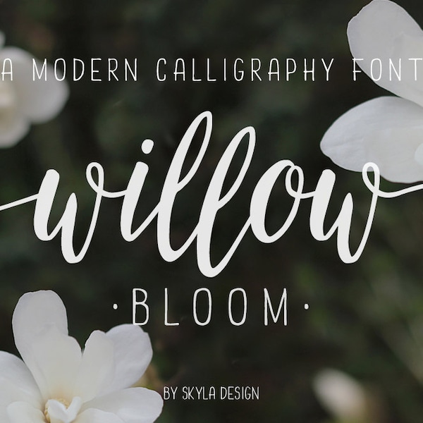 Willow Bloom modern calligraphy font