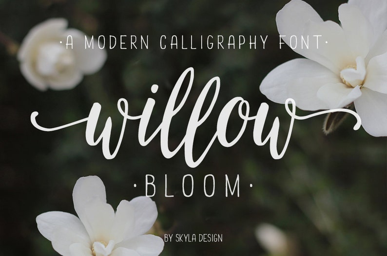 Willow Bloom modern calligraphy font image 1