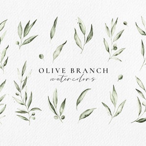 Olive Branch watercolor set, botanical leaves clipart