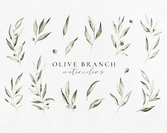 Olive Branch watercolor set, botanical leaves clipart