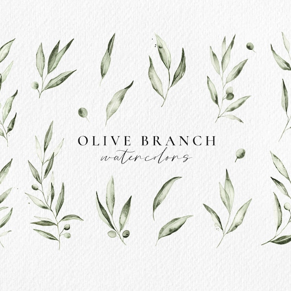 Olive Branch watercolor set, botanical leaves clipart