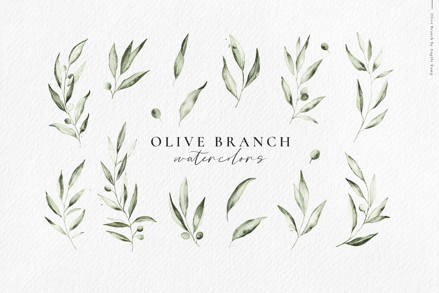 Olive Branch watercolor set, botanical leaves clipart