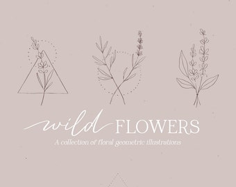 Ilustraciones de la colección Wild Flowers, coronas y patrones de ramos, paquete de clipart floral