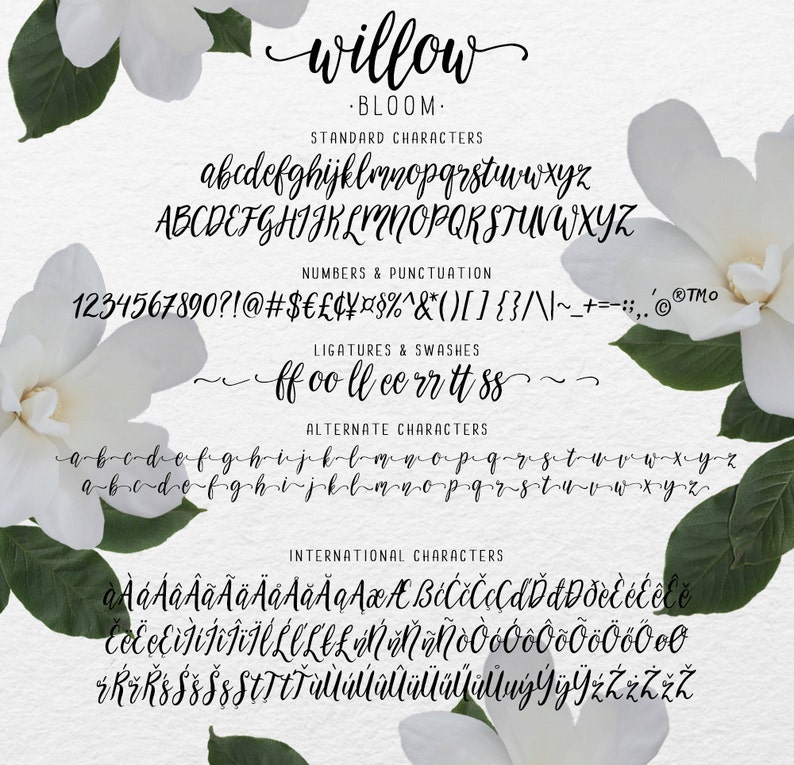 Willow Bloom modern calligraphy font image 5