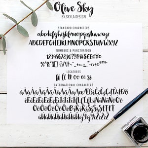 Olive Sky modern brush font image 5