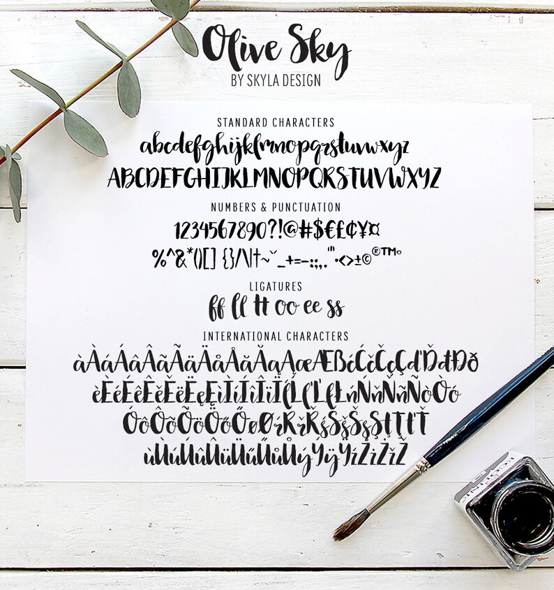 Olive Sky modern brush font image 5