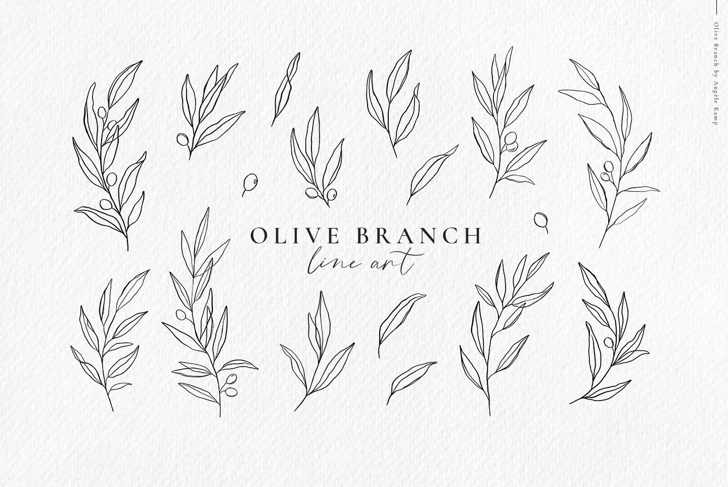 Olive Branch Clipart Botanical Leaves Illustrations Line Etsy