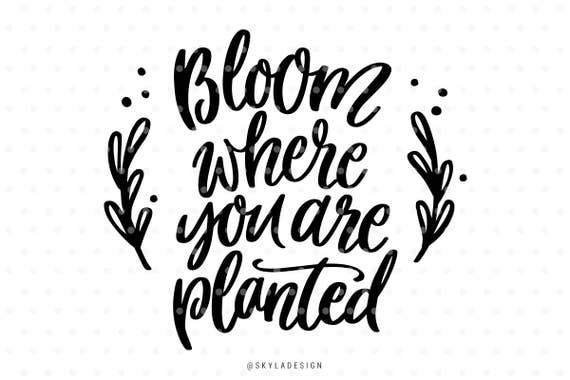 Bloom Where You Are Planted SVG Cut File Spring SVG Cutting | Etsy