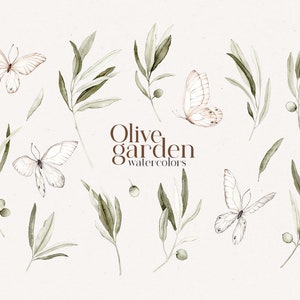 Ensemble de branches d'oliviers et de papillons aquarelle clipart