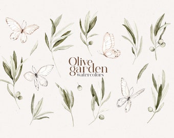 Olive Garden set of branches and butterflies watercolor clipart