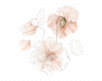 Icelandic Poppy watercolor bouquet, Flower clipart