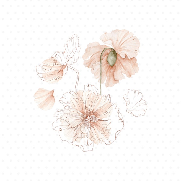 Bouquet d’aquarelle de pavot islandais, clipart de fleurs