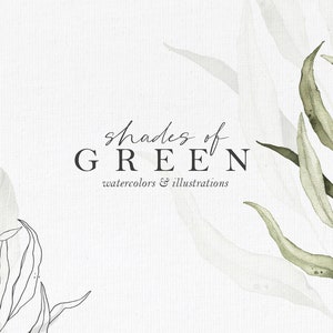 Shades of Green collection watercolor illustrations, wreaths & vines, botanical leaves clipart