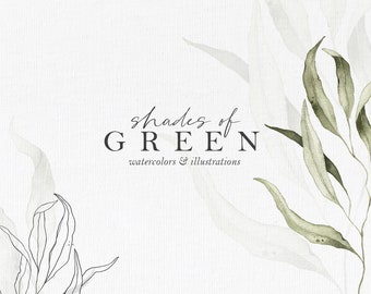 Colección Shades of Green ilustraciones en acuarela, coronas y enredaderas, imágenes prediseñadas de hojas botánicas