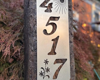 Stainless Steel Outdoor Address Sign! ~ Choose Your Numbers!