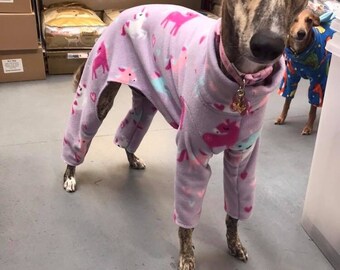 dogue de bordeaux biggest dog