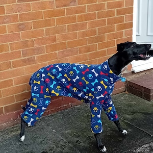 Pu&ograve; includere: Un cane nero che indossa una tuta in pile blu con un motivo a ossa e impronte di zampe. Il cane &egrave; in piedi su una superficie di cemento grigia.