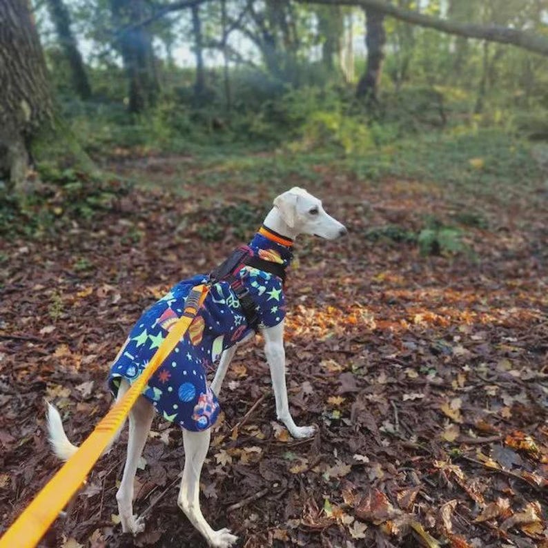 Fleece Dog Snood coat , jumper space , Halloween Whippet, Greyhound , lurcherr image 5