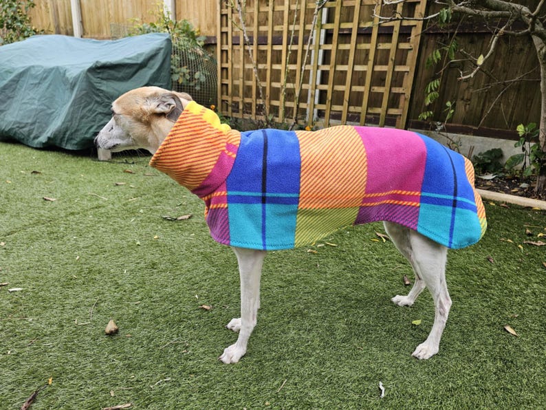 Peut inclure: Un chien portant un manteau pour chien &agrave; carreaux color&eacute;. Le manteau pr&eacute;sente un motif patchwork avec des panneaux orange, jaunes, bleus et roses. Le chien se tient sur du gazon artificiel vert.
